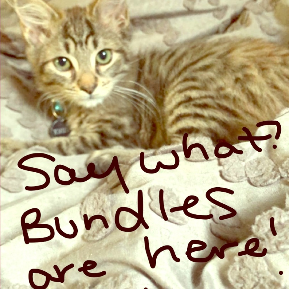 Bundles now available!